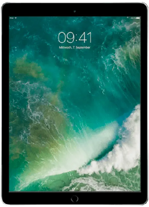 iPad Pro 12,9 Zoll (2. Generation)