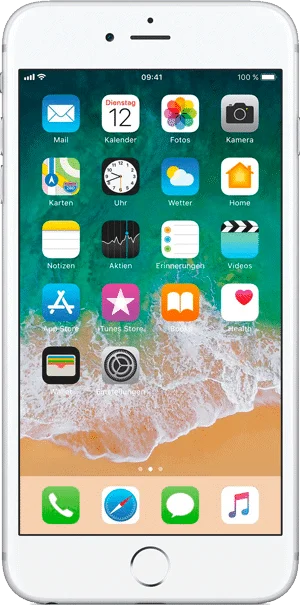 iPhone 6+